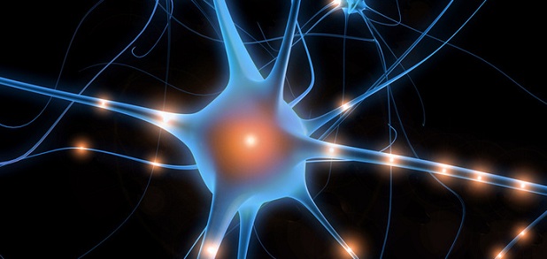 A stylized graphic of a neuron